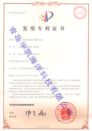 雙編繩索環(huán)眼及其制作方法發(fā)明專(zhuān) 雙編繩索環(huán)眼及其制作方法發(fā)明專(zhuān)